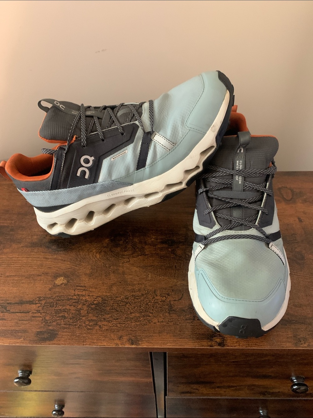 On Clouds Cloudhorizon Waterproof! Running Shoes in Light Gray, Charcoal & Brown